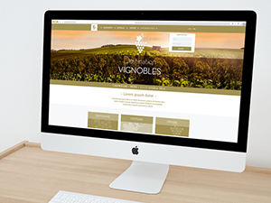 www.destinationvignobles / Destination Vignobles